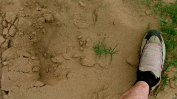 One of the Deep Prints Near The Creek In sand 