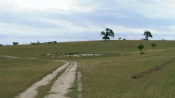 Dam On Lloyds Property