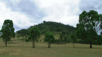 Mountain In The Distance On Lloyd's Property 