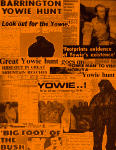 Yowie Book Cover