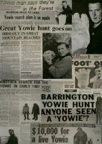 Yowie Newspaper Articles Collage