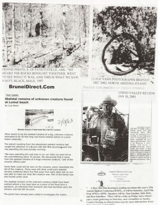 BigFoot Encyclopedia_Page_2108.jpg