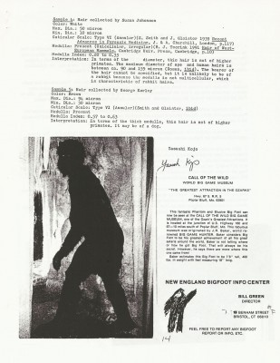 BigFoot Encyclopedia_Page_0769.jpg