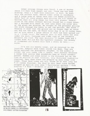 BigFoot Encyclopedia_Page_0750.jpg