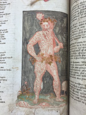 A pasted-in wodewose from the end of Book I of John Lydgate's 'Fall of Princes', England, c. 1470, Harley MS 4197, f. 34v