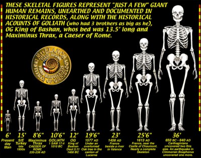 GIANT-SKELETONS-CHART.jpg