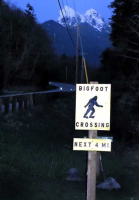 The infamous &quot;Bigfoot Crossing&quot; sign on HIghway 2 in the Sky Valley. Chronicle photo