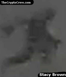 brownthermtag.png