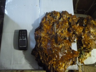 mdW0r-983a.jpg