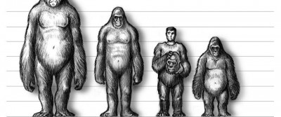 BigfootLineUp_SIZED.jpg