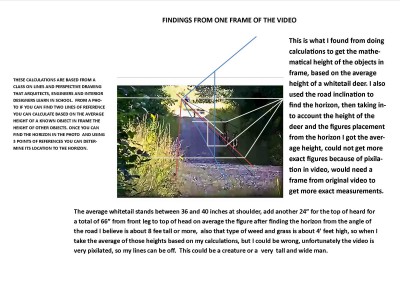 findings from video frame..jpg