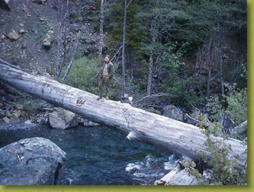 Peter Byrne stands over Bluff Creek in 1960