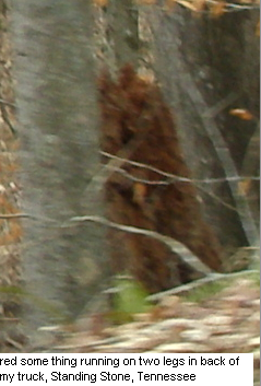 StandingStone-Abney.jpg