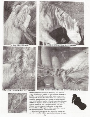 BigFoot Encyclopedia_Page_2750.jpg