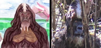 Arnold's artwork left, Rodriguez skunk ape photo right.