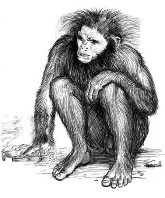 Hoaxer's sketch of creature, copied from French book.