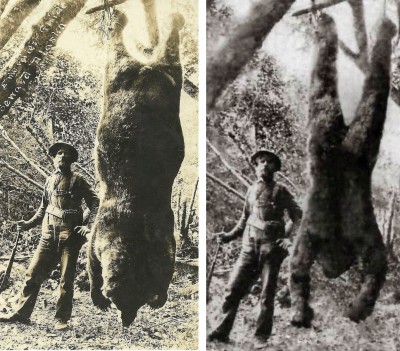 Alaskan bear photo and dead bigfoot photo.jpg