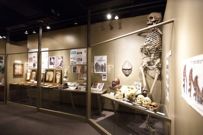 One part of the Sasquatch exhibit is photographed at the Yakima Valley Museum.