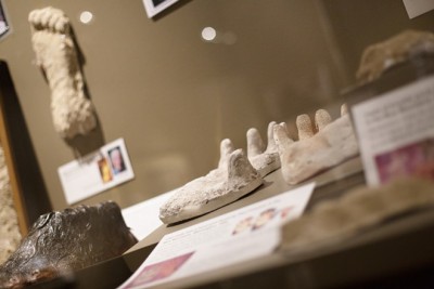 Handprint casts, part of the Sasquatch exhibit, are on display at the Yakima Valley Museum.