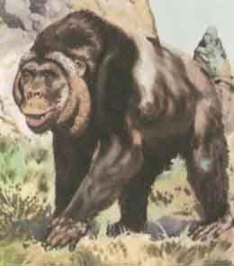 gigantopithecus1.jpg