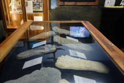 Browse through alleged Sasquatch footprints collected over time. Believer or not, Tourism Harrison’s new Sasquatch Museum lays out the rich history and cultural significance of Bigfoot. Nina Grossman/The Observer