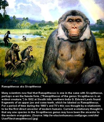 sivapithecus_indicus2.jpg