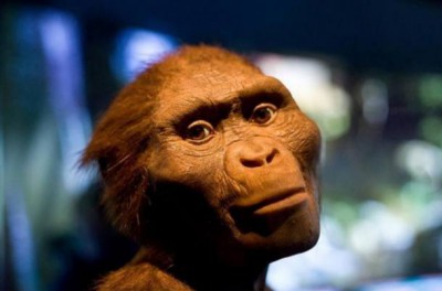 Could Zana have been from a surviving species of pre-human hominids, like “Lucy”, Australopithecus Afarensis? Jason Kuffer/Flickr