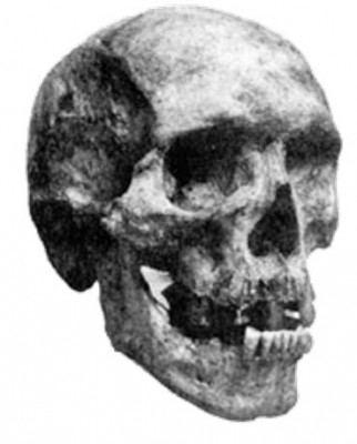 Skull said to have belonged to Zana’s son Kehwit. (Source)