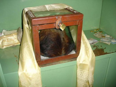 Purported Yeti scalp at Khumjung monastery. (Nuno Nogueira/CC BY SA 2.5)